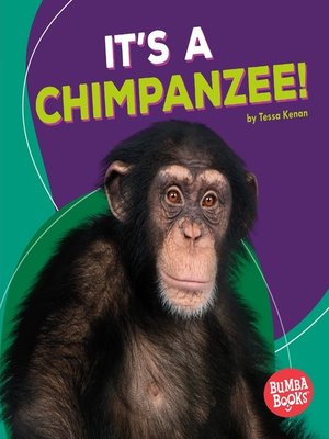 It's a Chimpanzee! - ebook